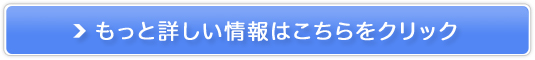 FiNCitBNjSʕۏ؃_CGbgƒ닳t̔TCg
